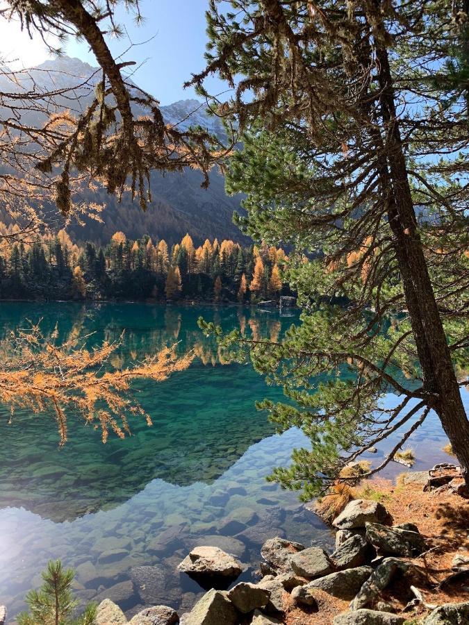 B&B Cuore Verde Poschiavo Εξωτερικό φωτογραφία