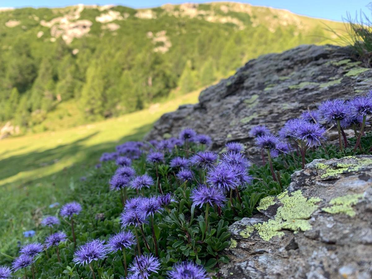 B&B Cuore Verde Poschiavo Εξωτερικό φωτογραφία