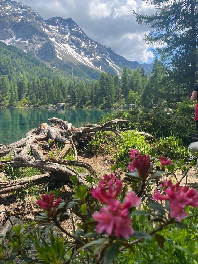 B&B Cuore Verde Poschiavo Εξωτερικό φωτογραφία