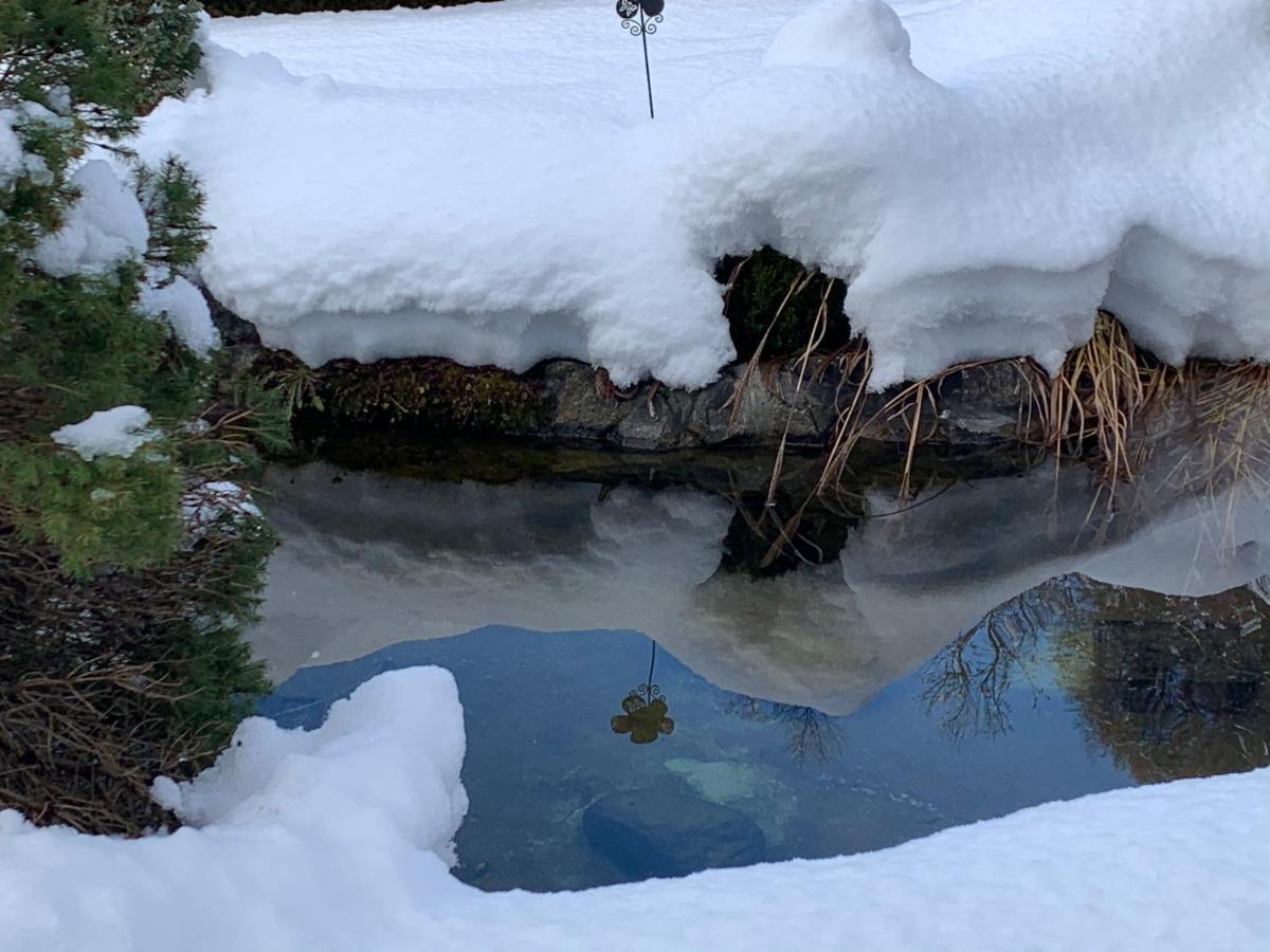 B&B Cuore Verde Poschiavo Εξωτερικό φωτογραφία